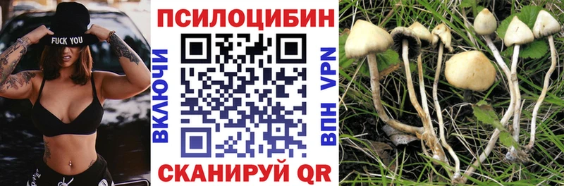 Псилоцибиновые грибы мицелий Моршанск