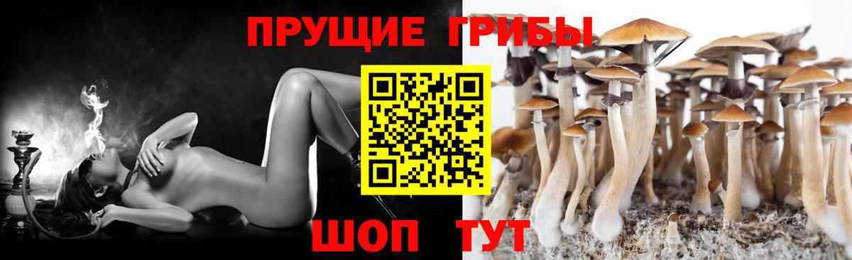 Псилоцибиновые грибы Cubensis  наркота  Моршанск  Псилоцибиновые грибы ЛСД 